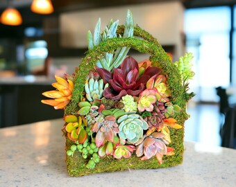 Succulent Purse arrangement | Succulent gift | Moss planter | Mother’s Day gift