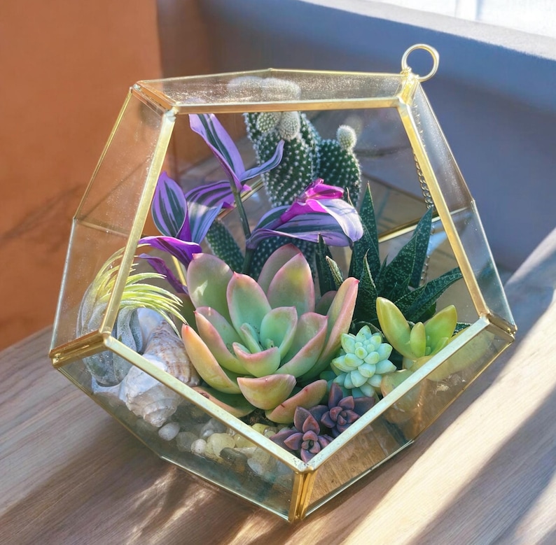 May include: A geometric glass terrarium with a gold metal frame, filled with a variety of succulents and plants, including purple and green foliage.