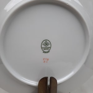 Puede incluir: Plato de porcelana blanca con un logotipo verde que dice "19 CM 14 N&Uuml;SSCHNEIDER HOF  GERMANY" y un n&uacute;mero rosa "C19 8J".