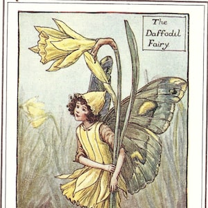 Flower Fairies: The DAFFODIL FAIRY Vintage Print c1930 by Cicely Mary Barker