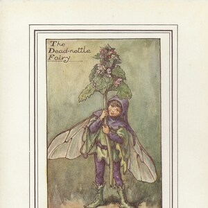 Flower Fairies: The DEAD-NETTLE Vintage Print c1930 by Cicely Mary Barker