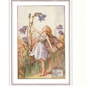 Flower Fairies: The HAREBELL Fairy Vintage Print c1930 by Cicely Mary Barker