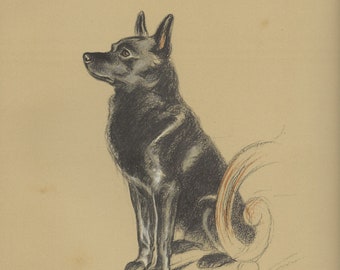 LUCY DAWSON 1937 Vintage Dog Print