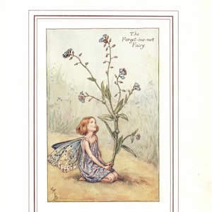 Flower Fairies: The FORGET-ME-NOT Fairy Vintage Print c1930 by Cicely Mary Barker