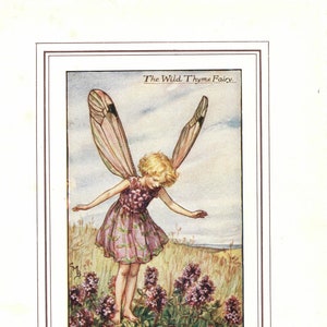 Flower Fairies: The WILD THYME Fairy Vintage Print c1930 by Cicely Mary Barker