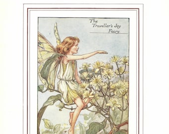 Flower Fairies: The TRAVELLER&#39;S JOY Fairy Vintage Print c1930 by Cicely Mary Barker