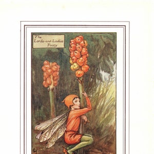 Flower Fairies: The LORDS-AND-LADIES Fairy Vintage Print c1930 by Cicely Mary Barker