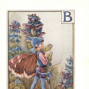 A Flower Fairy Alphabet: Der Buchstabe B ist für Bugle Fairy Vintage Print c1930 von Cicely Mary Barker