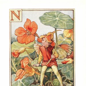 Flower Fairies Mounted F Fuchsia Alphabet Flower Fairy