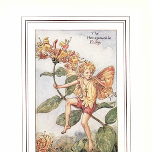Flower Fairies: The HONEYSUCKLE Fairy Vintage Print c1930 by Cicely Mary Barker