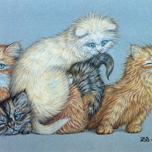 Zoe Stokes Funny Cat Art Print