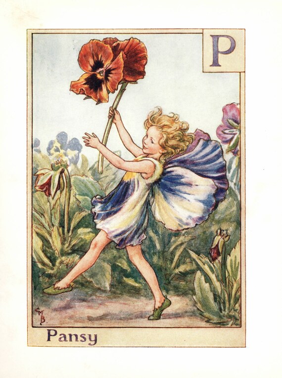 Flower fairies Alphabetの妖精 シシリー・メアリー・バーカー 挿画本「花の妖精