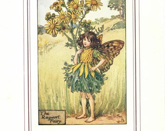 Flower Fairies: The RAGWORT Fairy Vintage Print c1930 by Cicely Mary Barker