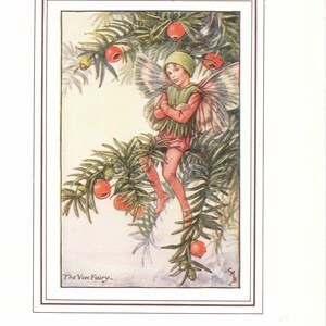 Flower Fairies: The YEW Fairy Vintage Print c1930 by Cicely Mary Barker