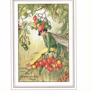Flower Fairies: The NIGHTSHADE BERRY Fairy Vintage Print c1930 by Cicely Mary Barker