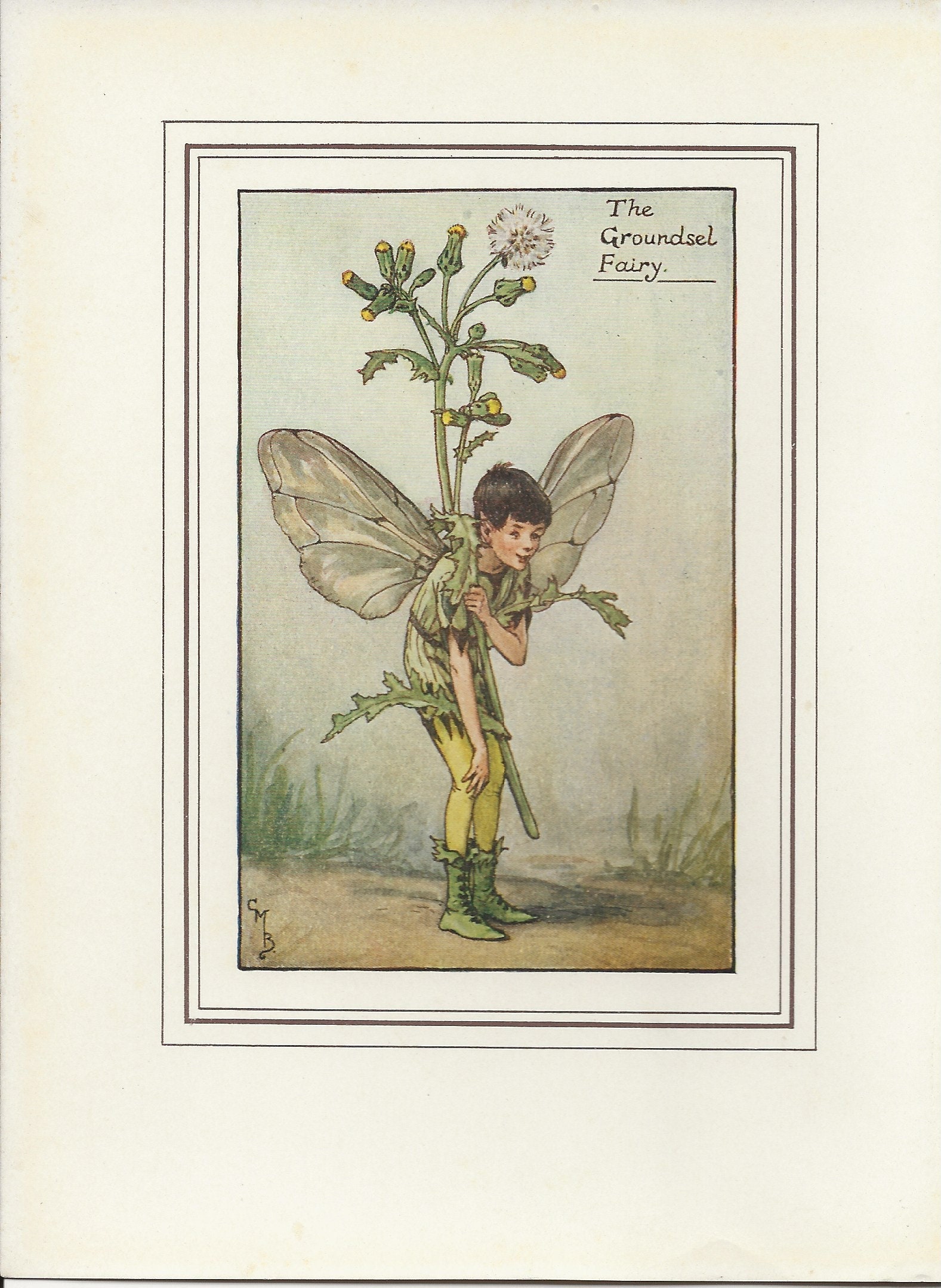 Flower Fairies: The GROUNDSEL Vintage Print c1930 by Cicely Mary Barker