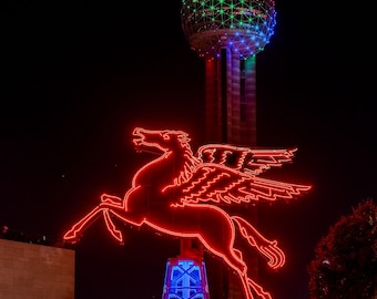 Pegasus Night 1