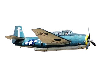 May include: A blue and white Grumman TBF Avenger aircraft with a yellow tail number 309. The aircraft has a white star on the side and a white arrow on the tail.