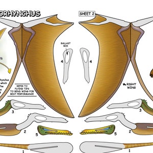 Papercraft dinosaur, Rhamphorhynchus image 1