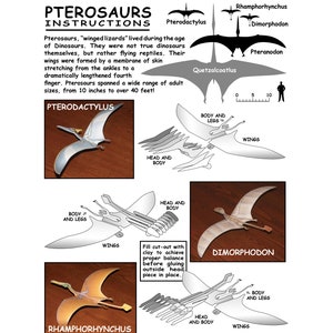 Papercraft dinosaur, Rhamphorhynchus image 2