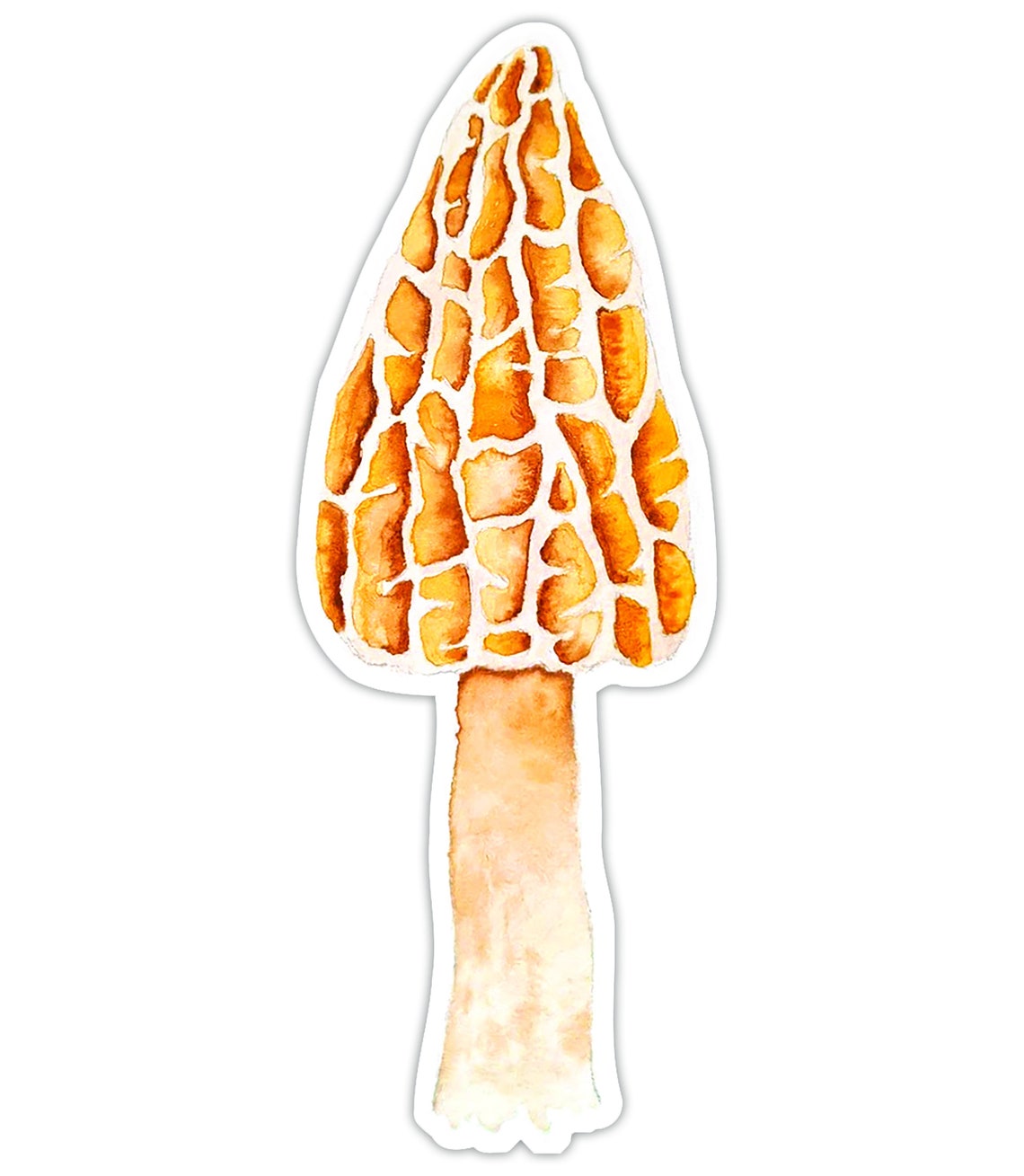 Morel Mushroom Watercolor Sticker Etsy UK