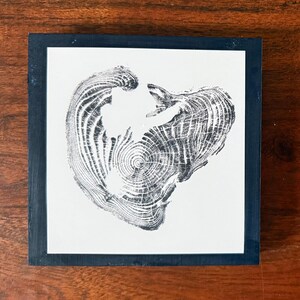 May include: A framed print featuring a black and white tree cross-section design. The artwork is centered on a white background and encased in a dark blue square frame. The wood grain pattern is visible in the print.