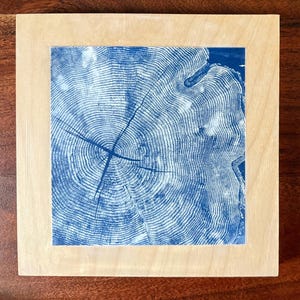 May include: A square, framed print featuring a blue and white tree ring design. The print is set within a light-colored wooden frame. The tree ring pattern is a detailed, circular arrangement.