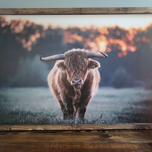 Highland Cow wood framed sign, highland cow boho decor, boho decoration, Highland cow decor, wood cow picture