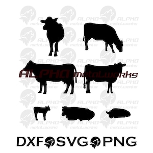 May include: A collection of black cow silhouettes in various poses, including standing, grazing, and lying down. The image also includes the text "DXF SVG PNG" in a bold, sans-serif font, indicating file formats.
