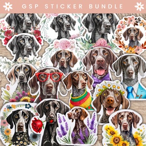 May include: A set of 14 German Shorthaired Pointer dog stickers. The stickers feature watercolour illustrations of the dogs in various poses and settings, including flowers, sunflowers, and lavender. The stickers are perfect for adding a touch of personality to laptops, water bottles, journals, and more.