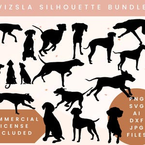 Vizsla svg bundle Vizsla cut files Vizsla vector graphics bundle Vizsla dxf laser cut files Vizsla dog SVG bundle Vizsla silhouette outline