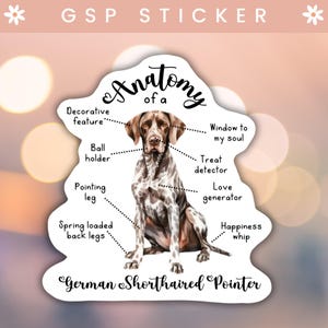 May include: A sticker featuring a cartoon illustration of a German Shorthaired Pointer dog. The dog is sitting with its legs crossed. The sticker includes text that reads "Anatomy of a German Shorthaired Pointer" and labels different parts of the dog's body with humorous descriptions.