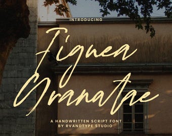 Figuea Granatae Calligraphy Font | Handwritten Script for Wedding Invitation, Branding and Cricut Projects