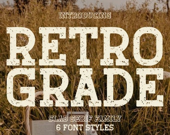 Retro Grade Slab Serif Font, Vintage 70s Display Typeface, Bold Distressed Lettering for T-Shirts, Western Cricut Font
