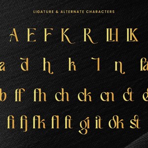 Puede incluir: Caracteres de ligadura y alternativos dorados sobre un fondo negro. El texto "LIGATURE & ALTERNATE CHARACTERS" est&aacute; en la parte superior. Los caracteres incluyen A, E, F, K, R, I, H, I, K, a, d, h, k, l, &eta;, fa, fb, ff, fh, ch, ck, cn, & y et.