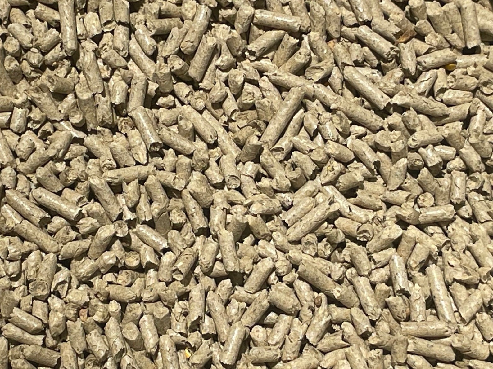 Soy Hull Pellets for Master's Mix Mushroom Substrate 12 Lbs Etsy