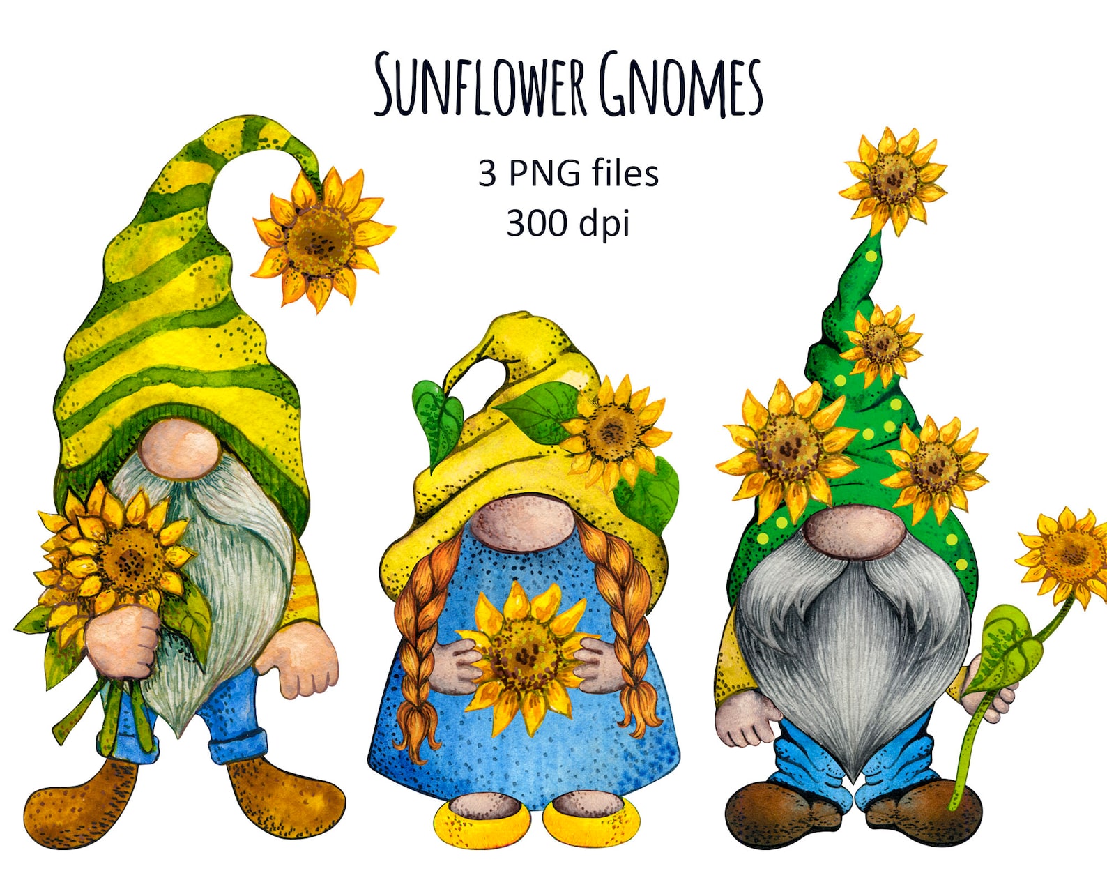 Watercolor Sunflower Gnomes Clipart set Cute Gnome png Fall | Etsy