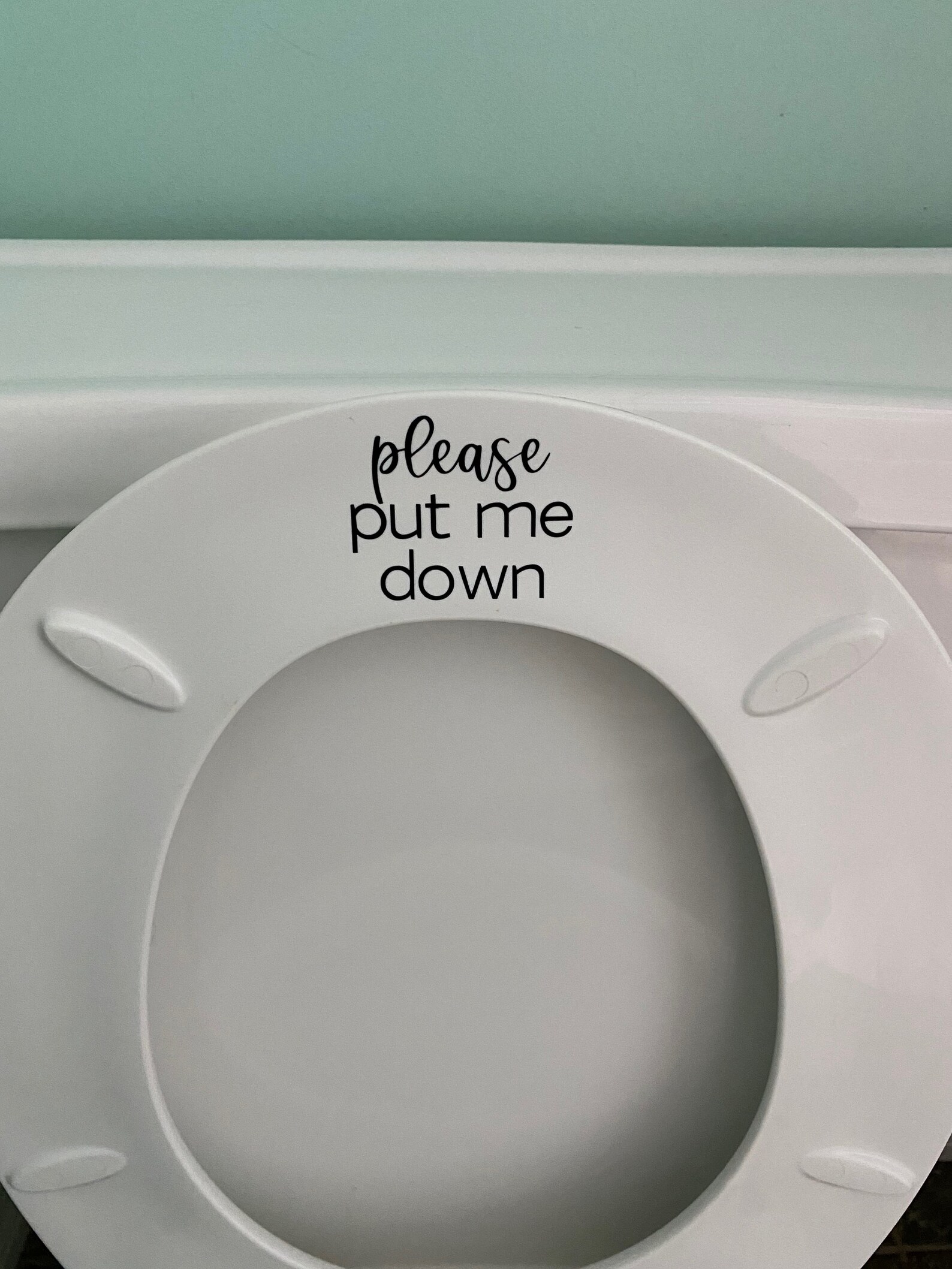 Small Please Put Me Down Toilet Seat Decal Etsy