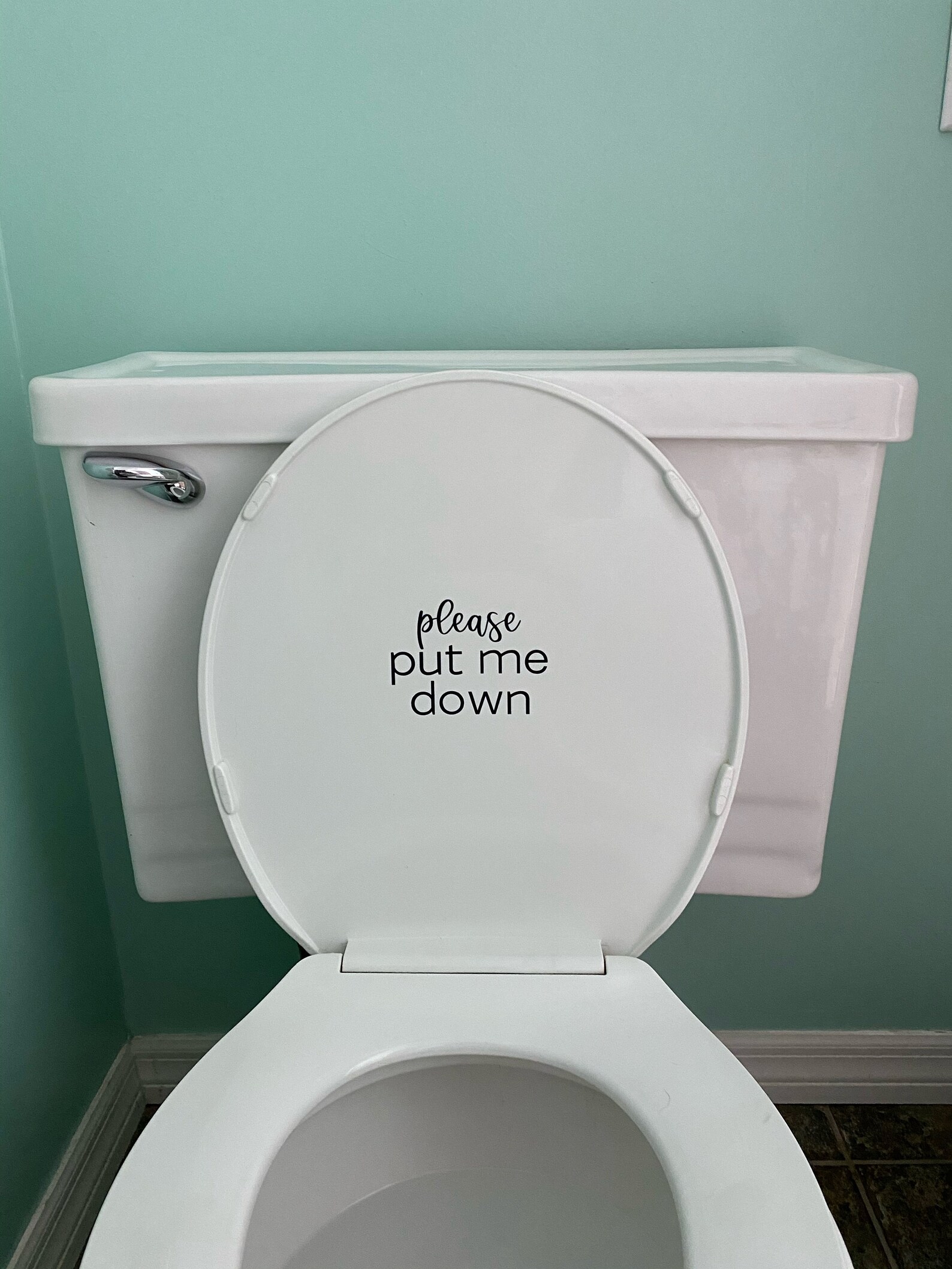 Large Please Put Me Down Toilet Seat Decal Etsy