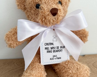 Ring Bearer Proposal - Teddy Bear Gift
