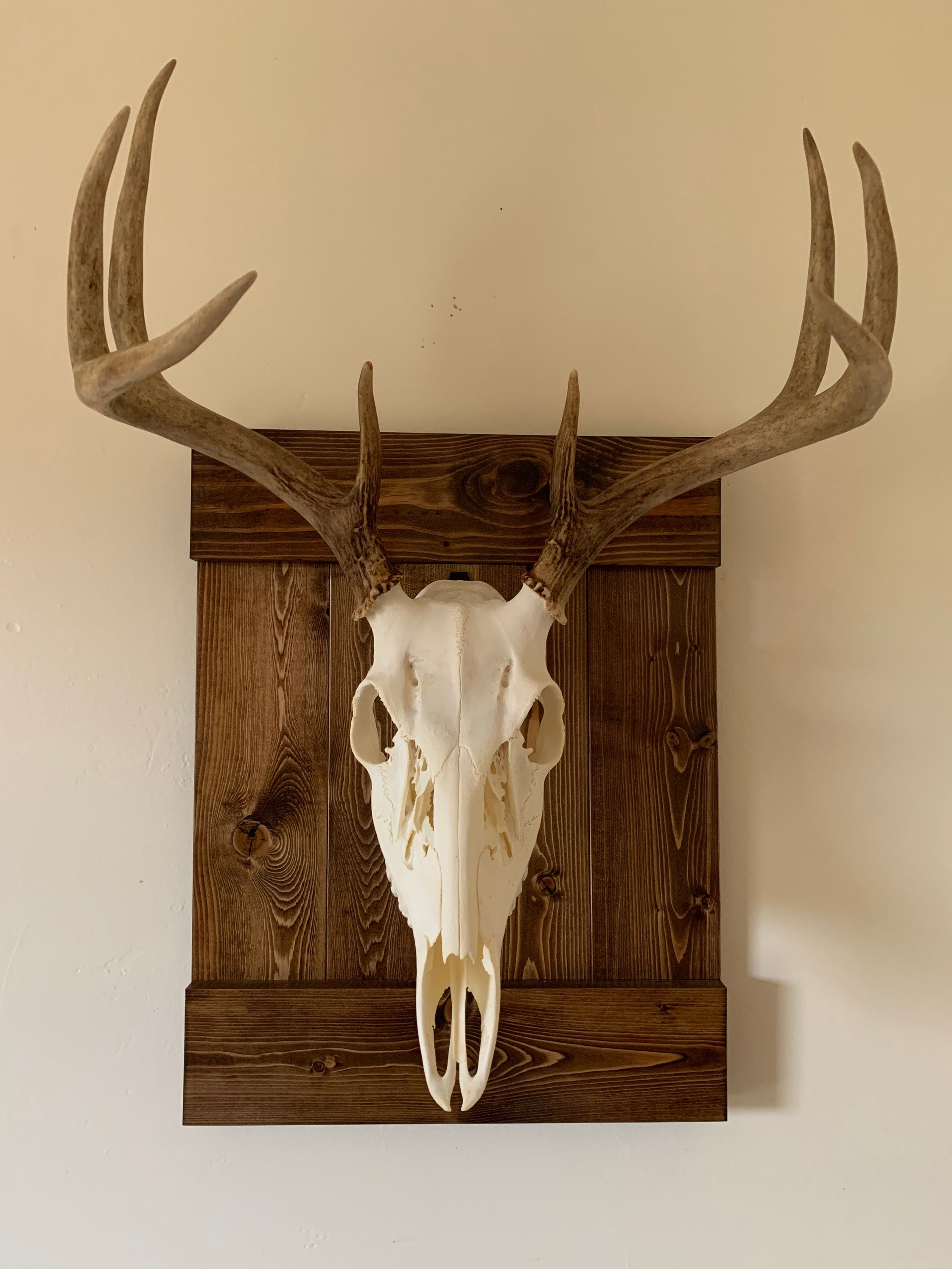 European Mount Plaque | Etsy