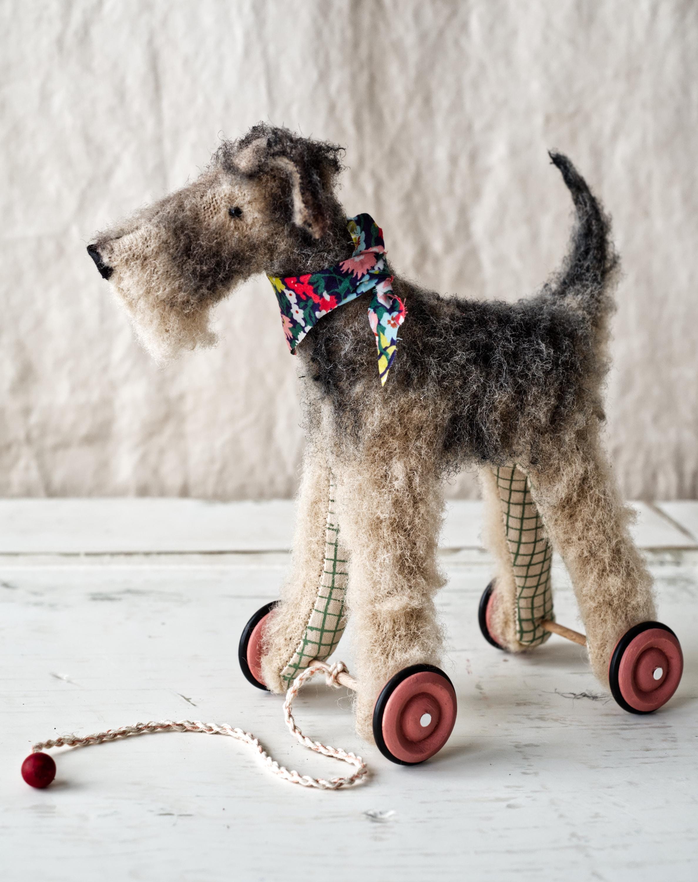 Airedale Terrier Red Fox Terrier Dog Wire Haired Maltese Fox