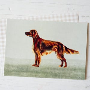 Carte de setter irlandais (A5)