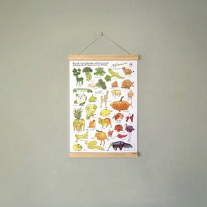 Vegetable and Fruit Animals | Poster DIN A3 mit Posterleisten