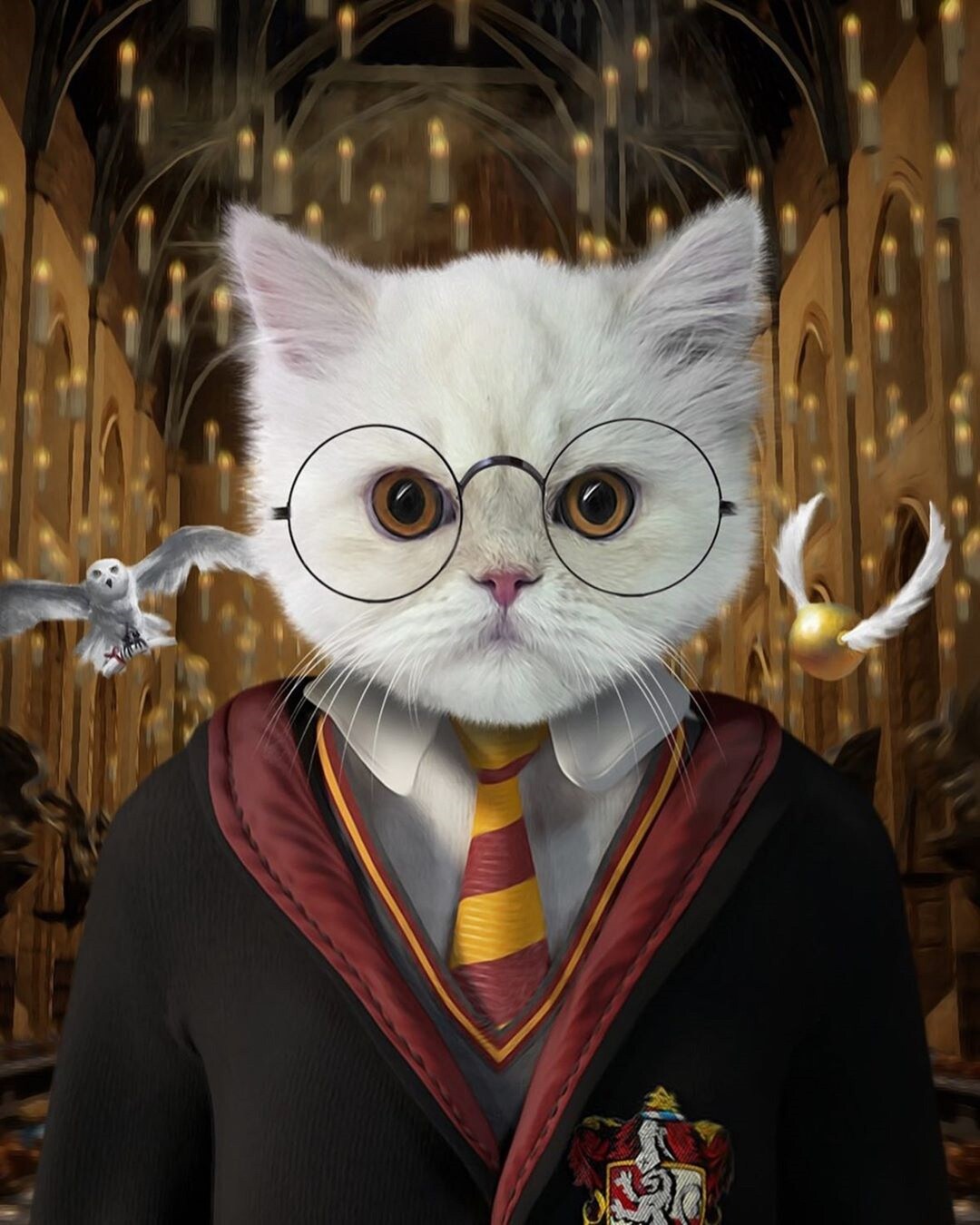 Custom Pet Canvas Harry Potter Portrait Pet Portrait Harry Etsy