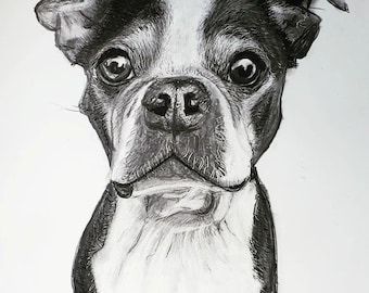 Custom Graphite Pet Portrait memorial art hand-drawn dog
