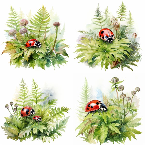 Watercolor Lady Bug PNG Clipart LadyBug Watercolor LadyBug Print Lady Bug Watercolor  Bug Clip Art Lady Bug on Ferns Clipart