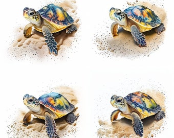 Baby Turtle Watercolor Clipart Sublimation PNG