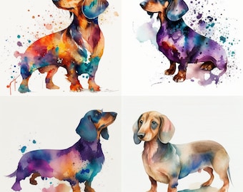 Dachshund Watercolor, Digital Downloads, Dachshund Clipart, Dachshund PNG, Dachshund wall art, Dachshund prints, Sublimation