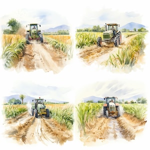 Puede incluir: Cuatro acuarelas de tractores verdes conduciendo a través de un campo de plantas verdes altas. Los tractores conducen por caminos de tierra y las plantas crecen en filas.